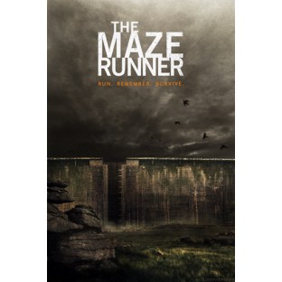 The Maze Runner (2014)