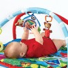 Baby Einstein Caterpillar and Friends Play Gym