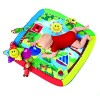 Baby Einstein Caterpillar and Friends Play Gym