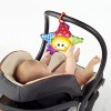 Baby Einstein Caterpillar and Friends Play Gym