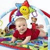 Baby Einstein Caterpillar and Friends Play Gym