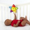 Baby Einstein Caterpillar and Friends Play Gym
