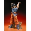 Bandai Tamashii Nations FiguartsZero Son Goku Spirit Bomb Ver "Dragon Ball Z" Action Figure