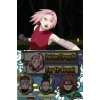 Naruto Shippuden: Naruto vs. Sasuke - Nintendo DS
