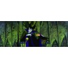 Sleeping Beauty (Two-Disc Platinum Edition)