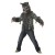 California Costumes To...