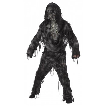 California Costumes Toys Rotten to The Core, Medium (Childs Costume)