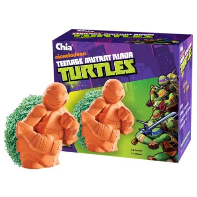 Chia Teenage Mutant Ninja Turtles Planter