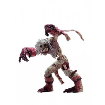 DC Unlimited World of Warcraft Series 5: Scourge Ghoul: Rottingham Action Figure