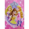 Disney Princess Pink Poly Pajamas (2T)