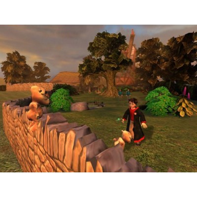 Harry Potter and the Chamber Of Secrets PS2