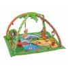Fisher-Price Disney Baby Simba's King-Sized Play Gym