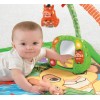 Fisher-Price Disney Baby Simba's King-Sized Play Gym