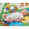 Fisher-Price Disney Baby Simba's King-Sized Play Gym