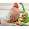 Fisher-Price Disney Baby Simba's King-Sized Play Gym