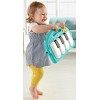 Fisher-Price Kick and Play Piano Gym