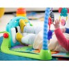 Fisher-Price Kick and Play Piano Gym