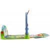 Fisher-Price Kick and Play Piano Gym