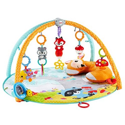 Fisher-Price Moonlight Meadow Deluxe Play Gym