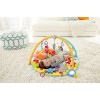 Fisher-Price Moonlight Meadow Deluxe Play Gym