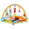 Fisher-Price Moonlight Meadow Deluxe Play Gym
