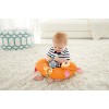 Fisher-Price Moonlight Meadow Deluxe Play Gym