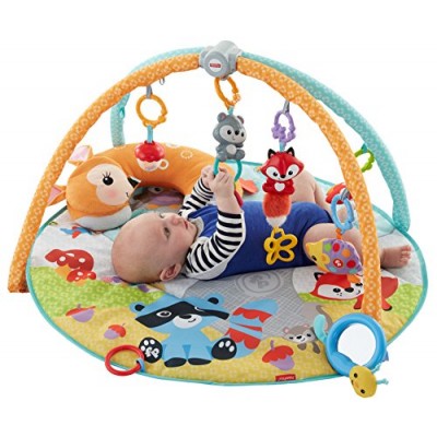 Fisher-Price Moonlight Meadow Deluxe Play Gym