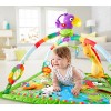 Fisher-Price Music and Lights Deluxe Gym, Rainforest