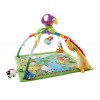 Fisher-Price Music and Lights Deluxe Gym, Rainforest