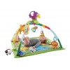 Fisher-Price Music and Lights Deluxe Gym, Rainforest
