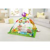 Fisher-Price Music and Lights Deluxe Gym, Rainforest