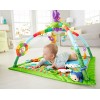 Fisher-Price Music and Lights Deluxe Gym, Rainforest