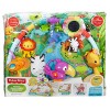 Fisher-Price Music and Lights Deluxe Gym, Rainforest