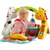 Fisher-Price Newborn-to-Toddler Play Gym