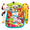 Fisher-Price Newborn-to-Toddler Play Gym