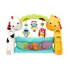 Fisher-Price Newborn-to-Toddler Play Gym