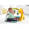 Fisher-Price Newborn-to-Toddler Play Gym