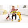 Fisher-Price Newborn-to-Toddler Play Gym