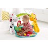 Fisher-Price Newborn-to-Toddler Play Gym