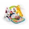 Fisher-Price Newborn-to-Toddler Play Gym