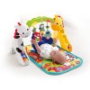 Fisher-Price Newborn-to-Toddler Play Gym