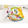 Fisher-Price Newborn-to-Toddler Play Gym