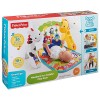 Fisher-Price Newborn-to-Toddler Play Gym