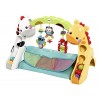 Fisher-Price Newborn-to-Toddler Play Gym