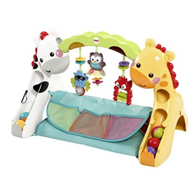 Fisher-Price Newborn-to-Toddler Play Gym