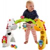 Fisher-Price Newborn-to-Toddler Play Gym