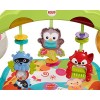 Fisher-Price Newborn-to-Toddler Play Gym