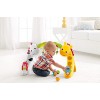 Fisher-Price Newborn-to-Toddler Play Gym
