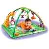 Fisher-Price Rainforest Melodies and Lights Deluxe Gym