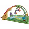 Fisher-Price Rainforest Melodies and Lights Deluxe Gym